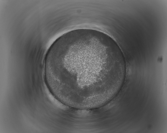 X0000111531515200907281350