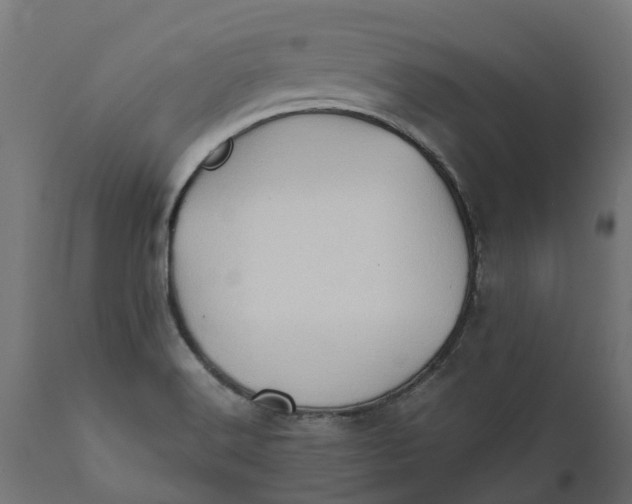 X0000111531516200907281350