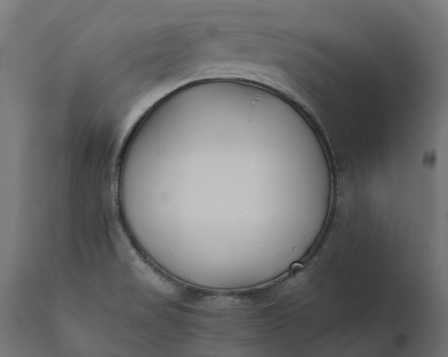 X0000111531517200907281350