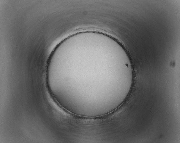 X0000111531518200907281350