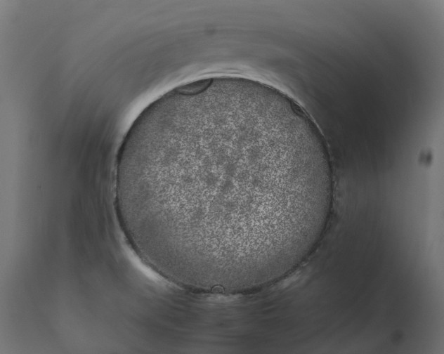 X0000111531519200907281350