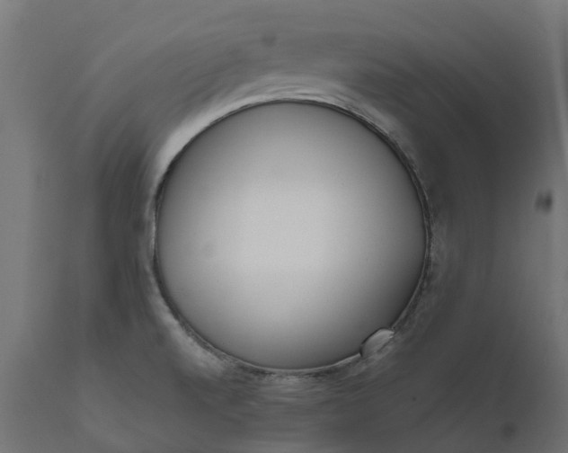 X0000111531520200907281350