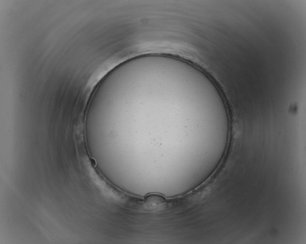 X0000111531521200907281350