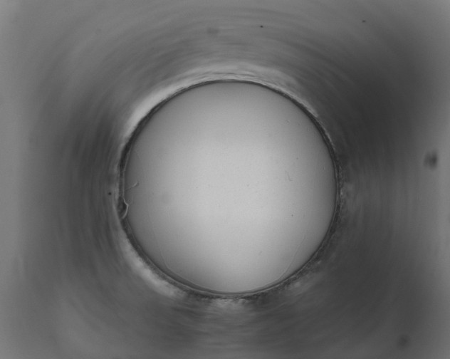 X0000111531523200907281350