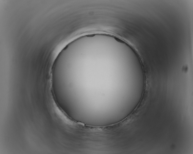 X0000111531524200907281350