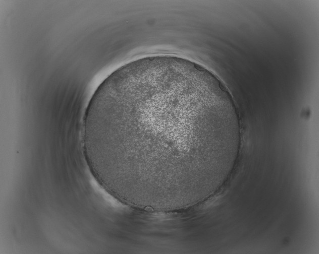 X0000111531527200907281350