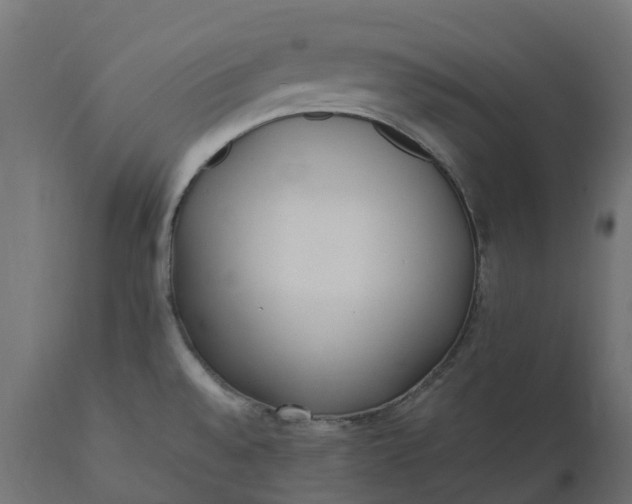 X0000111531528200907281350