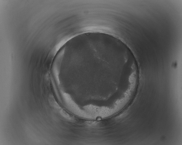 X0000111531529200907281350