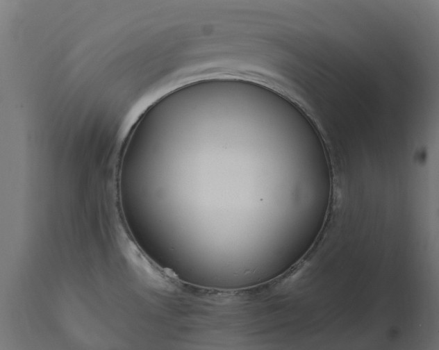 X0000111531530200907281350