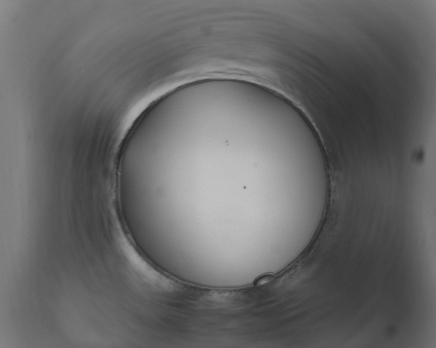 X0000111531531200907281350