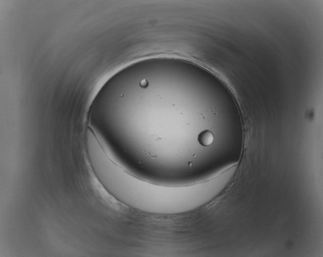 X0000111531532200907281350