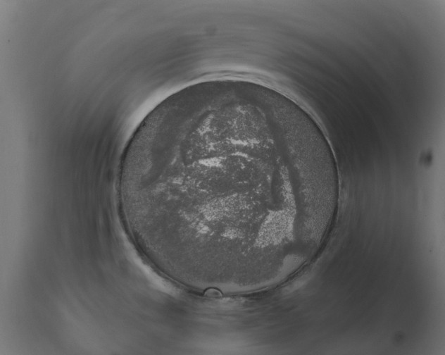 X0000111531533200907281350