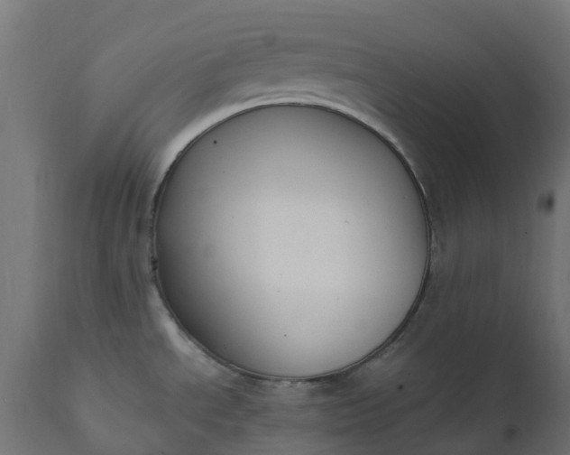 X0000111531534200907281350