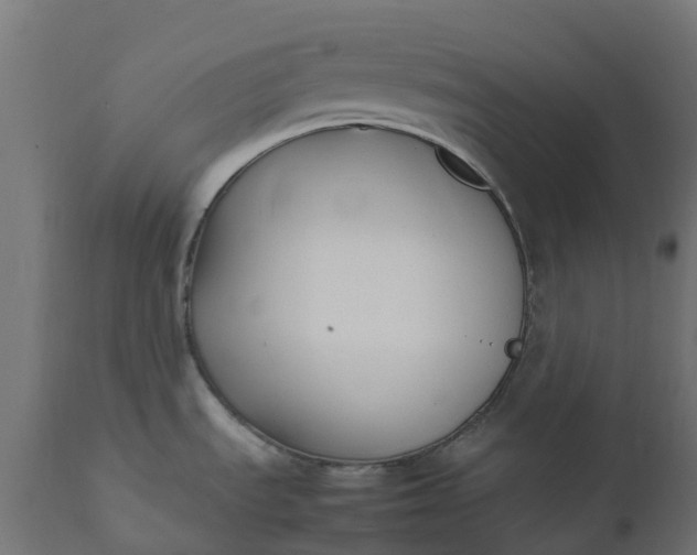 X0000111531535200907281350