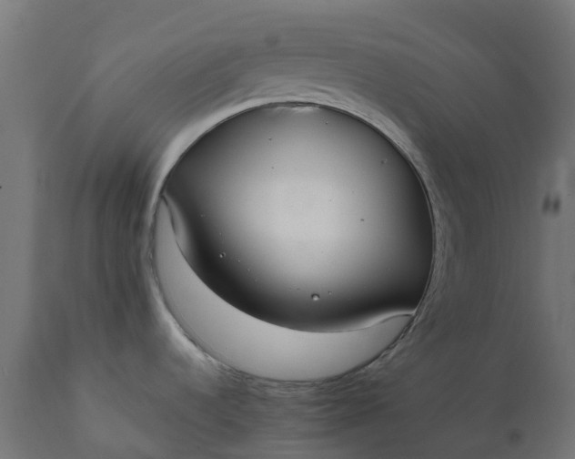 X0000111531536200907281350