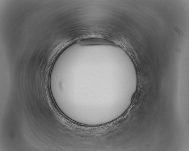 X0000111530001200908041314