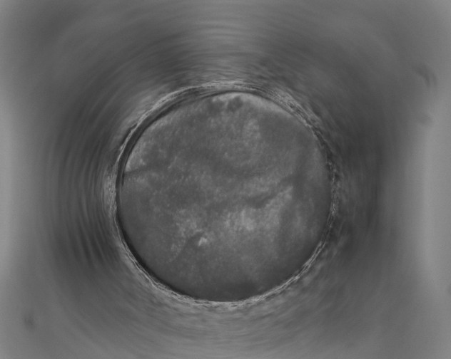 X0000111530002200908041314