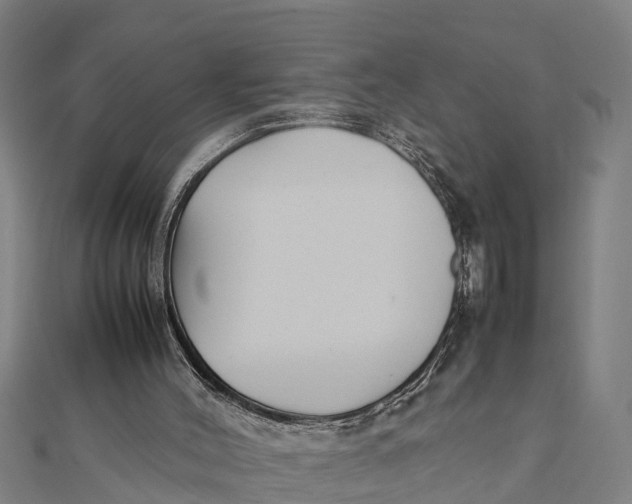 X0000111530004200908041314