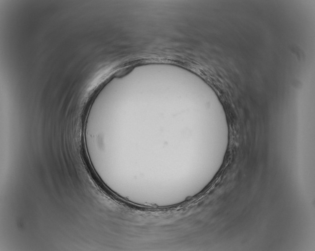 X0000111530005200908041314