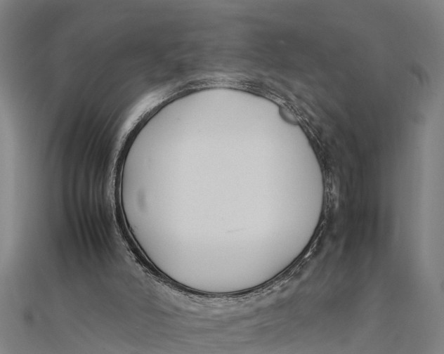 X0000111530006200908041314