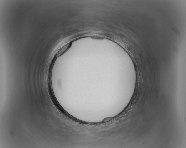 X0000111530007200908041314