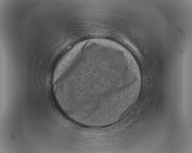 X0000111530009200908041314