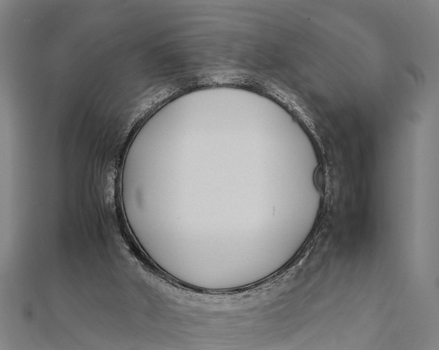 X0000111530010200908041314