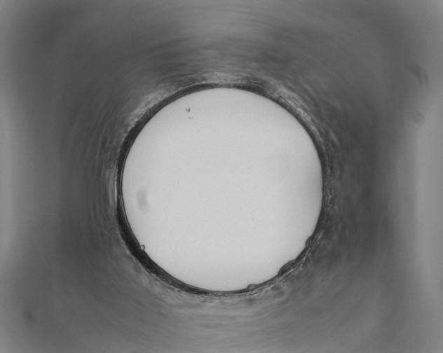 X0000111530011200908041314