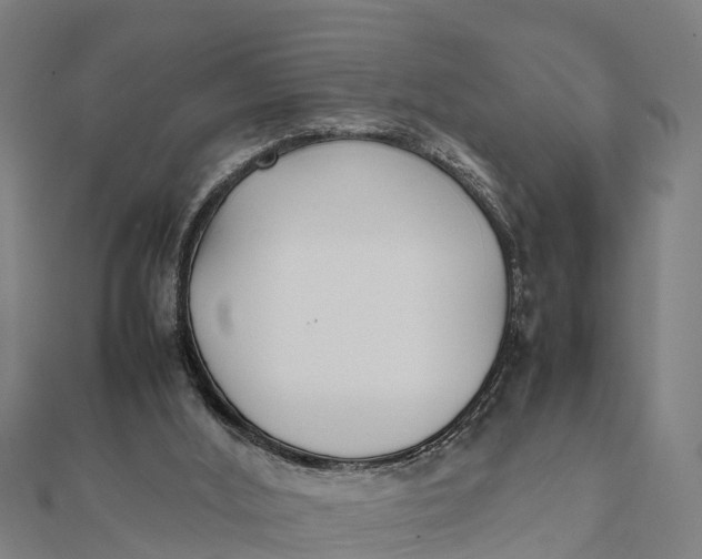 X0000111530012200908041314