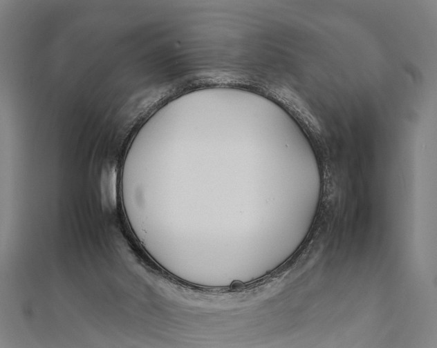 X0000111530014200908041314