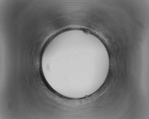 X0000111530015200908041314