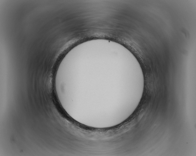 X0000111530016200908041314