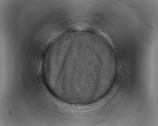 X0000111530018200908041314