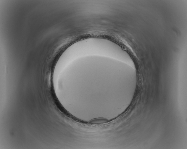 X0000111530019200908041314