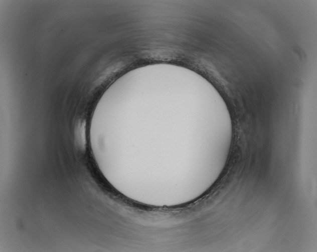 X0000111530020200908041314