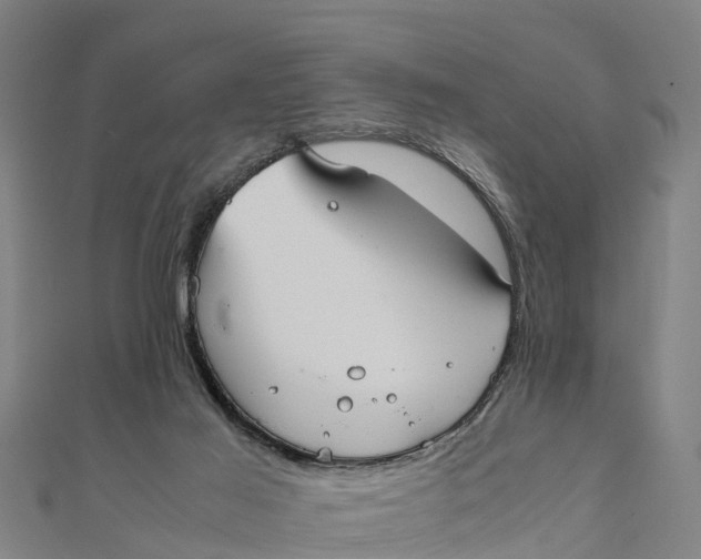 X0000111530021200908041314