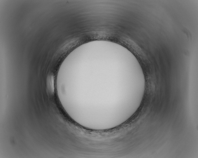 X0000111530022200908041314