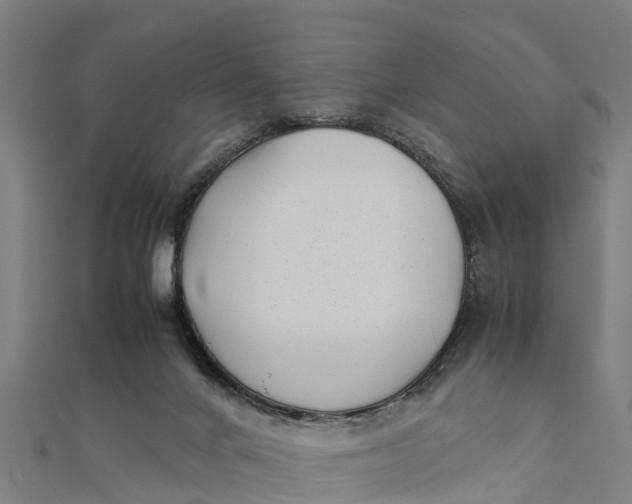 X0000111530024200908041314