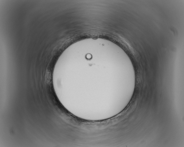 X0000111530025200908041313