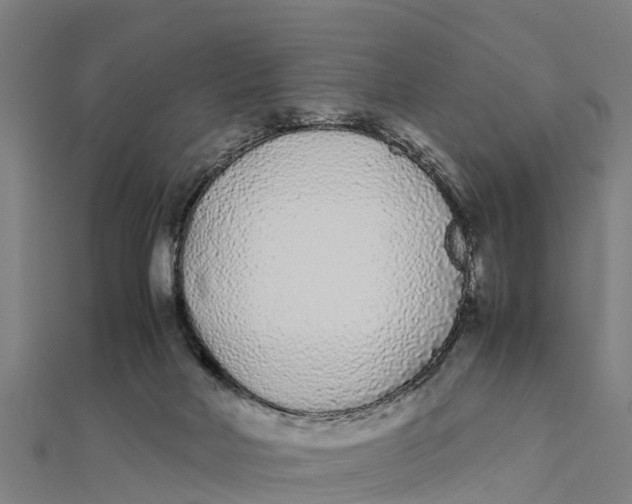 X0000111530026200908041313