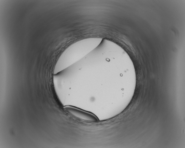 X0000111530029200908041313