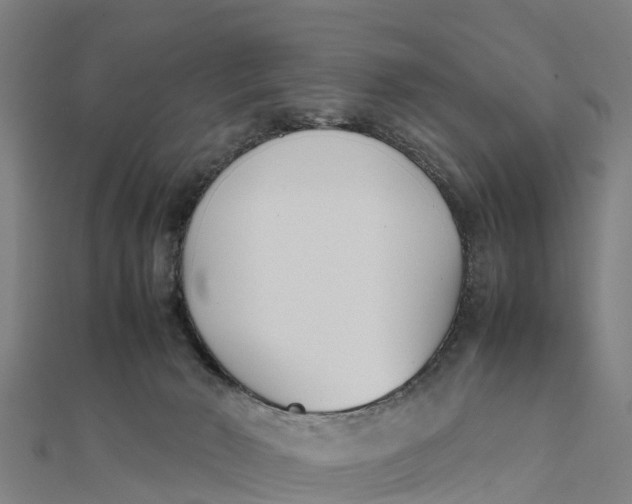 X0000111530030200908041313