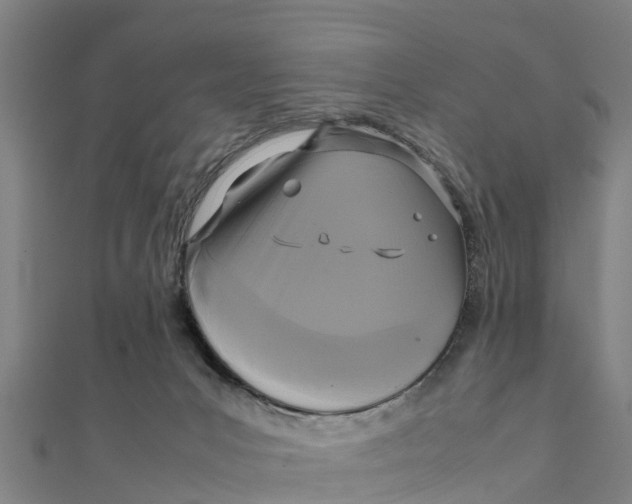 X0000111530031200908041313