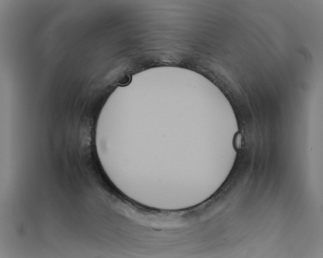 X0000111530032200908041313