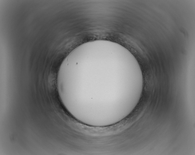 X0000111530034200908041313