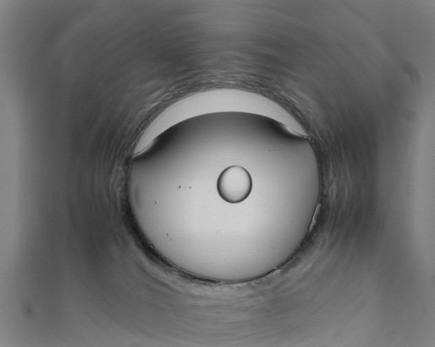 X0000111530036200908041313