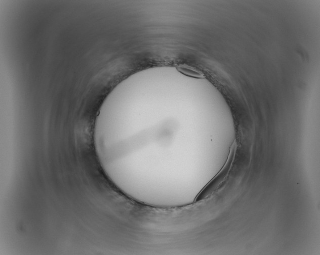 X0000111530037200908041313