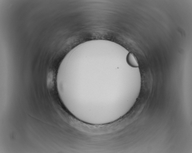 X0000111530038200908041313