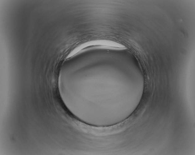 X0000111530039200908041313