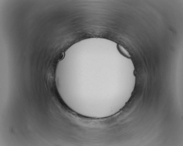 X0000111530040200908041313